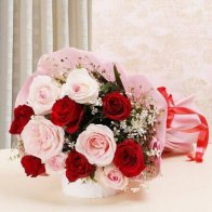 Red N Pink Roses Beauty